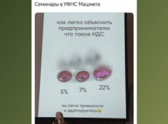 Адаптацию бизнеса к повышению НДС при помощи игрушек для взрослых опровергли воронежские налоговики