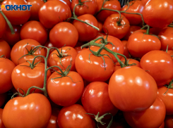 Урожай - не хворай: чем лечить семена, рассказали воронежцам