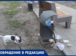 «Такое чудесное место превращается в помойку», – жительница Воронежа призвала власти навести порядок