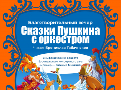 Пушкин и Чайковский помогут воронежским детям со сложной судьбой