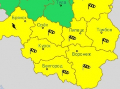 Желтый уровень опасности объявили в Воронежской области