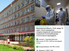 Коронавирус в Воронеже 31 марта: +204 зараженных, 16 смертей и «война за каждого человека»
