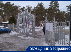 Каток в «Алых парусах» горько обманул ожидания воронежцев