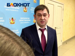 Владимира Нетесова утвердили главой на первое заседание Воронежской облДумы