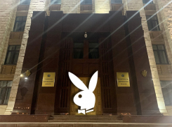 СК ищет, кто на акции Навального распространял эротическое фото сотрудницы воронежского правительства