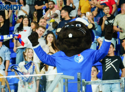 До 975 млн рублей увеличил свою выручку воронежский «Факел»