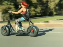 Бесстрашные путешествия бульдога на электроскутере сняли в Воронеже 