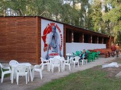 Мэрия Воронежа дошла до Верховного суда в борьбе за турбазу «Росинка»