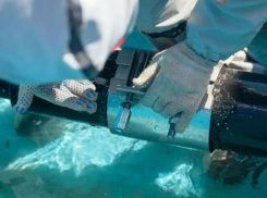 15 домов останутся без холодной воды в Воронеже