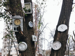 В воронежском дворе обнаружили дерево в стиле «Алисы в Стране чудес»