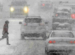 В Воронеж сегодня придет снег и ветер