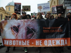 В Воронеже пройдет антимеховой марш