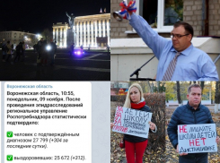 Коронавирус в Воронеже 9 ноября: +304 зараженных, пять смертей и пикеты против дистационки 