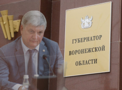 Две недели без Гусева: Воронежская область не заметила потери губернатора