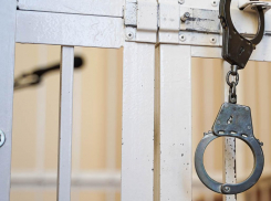 В Воронеже мужчина убил и расчленил родную мать – дело дошло до суда