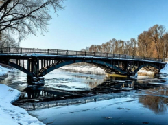 Кто за 735 млн рублей отремонтирует мост под Воронежем, который перекроют почти на год