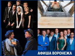 Куда сходить в Воронеже: крещенские купания, концерт «Уральских пельменей» и «Одноклассники» в Камерном