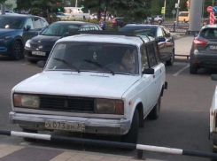 Вальяжного пса хаски за рулем автомобиля сняли в Воронеже