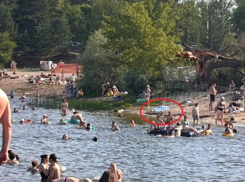 Жуткое фото: воронежцы отдыхают рядом с трупом на пляже