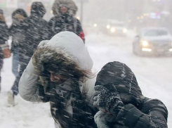 О мощном снегопаде с сильным ветром предупредили воронежские спасатели