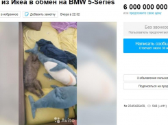 Акула за 6 миллиардов: житель Воронежа меняет «икеевскую» рыбу на BMW 5