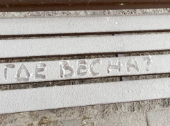 Новый приход морозов на 8 Марта спрогнозировали в Воронежской области 