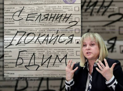 Элла Памфилова пожелала дойти до судебного решения «делу Селянина-Макина»