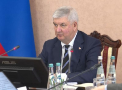 Воронежская область ускоряет цифровизацию мер поддержки участников СВО