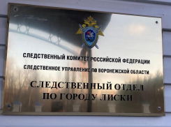 Семья из пяти человек отравилась газом в Воронежской области