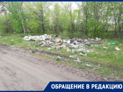 Километровая помойка растянулась вдоль проселочной дороги под Воронежем