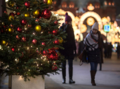 Какая погода ждет воронежцев на Рождество