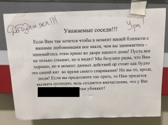 Воронежцам из ЖК «Скандинавия» предложили заниматься сексом во дворе