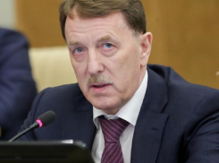 Бывшему воронежскому губернатору Гордееву снова указали место в вертикали власти