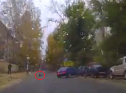 Воронежец пожертвовал машиной, чтобы не сбить бездомную собаку (ВИДЕО) 