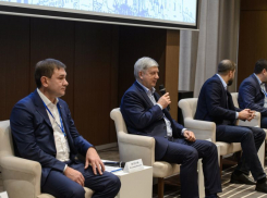 Чем воронежские единороссы хотят завлекать избирателей на выборах 2020 года