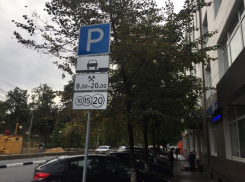 Общественник раскритиковал организацию платных парковок в Воронеже