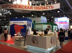 Что Воронежская область предложила стране в импортозамещении