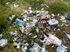 «Быдло отдыхает»: мусорный апокалипсис заметили на Усманке под Воронежем