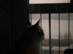 Как не сойти с ума от погоды в Воронеже на грядущей неделе