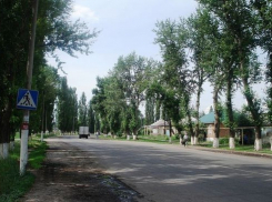 В Воронежской области грабители напали на женщину-таксиста