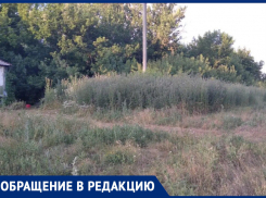 Нет освещения, автобусов и воды: жители сообщили о смерти маленького поселка в Воронежской области