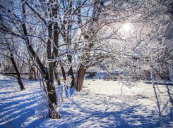 На выходных Воронеж накроет еврозима