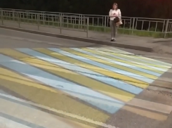 Танцующую «зебру» на воронежской дороге сняли на видео