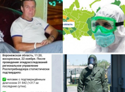 Коронавирус в Воронеже 22 ноября: +317 инфицированных, спад поправляющихся и погибший завотделением 