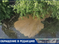 Гейзер кристально чистой воды из-под земли обрадовал детей в Воронеже 