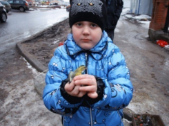 В Воронеже пройдет акция «Благовещение без жертв»