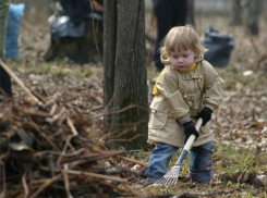 В Воронеже проводится месячник благоустройства