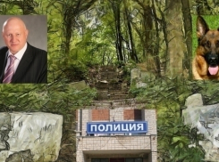 Следственный комитет заинтересовался депутатом Николаем Бунеевым