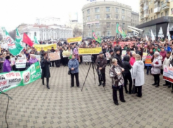 В Воронеже на рождественских каникулах антиникелевцы планируют собрать 100 тысяч подписей