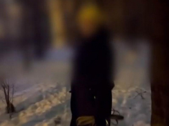 Конфликт из-за собаки без поводка обернулся рукоприкладством в Воронеже